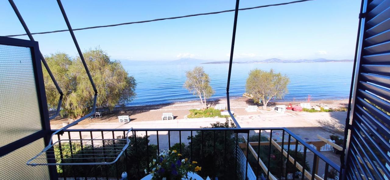 Vikos Beach Apartments Paralia Irion Exterior photo