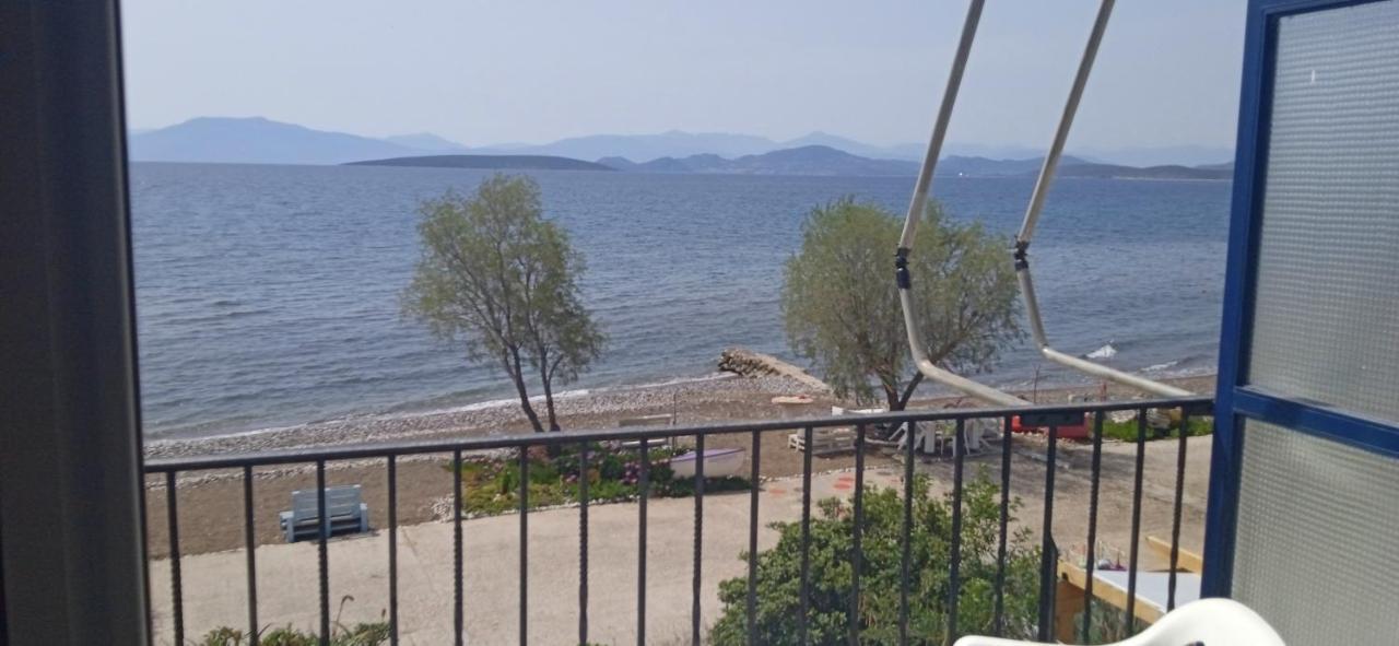 Vikos Beach Apartments Paralia Irion Exterior photo